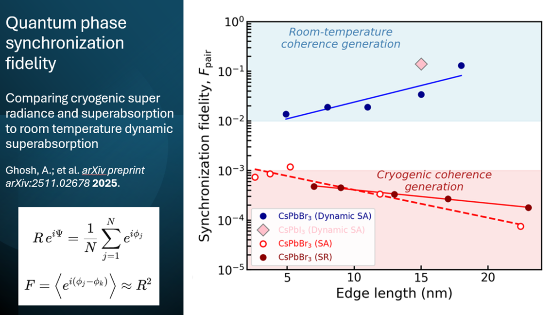 Perovskite quantum materials